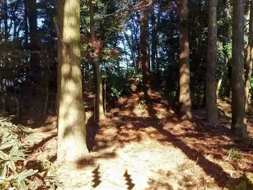 長沼八幡宮(栃木県)