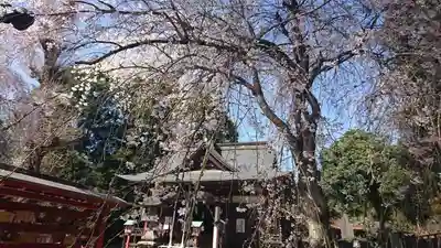 下野國一社八幡宮の本殿・本堂