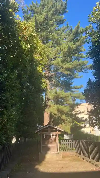 井草八幡宮(東京都)