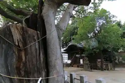 阿邪訶根神社の本殿・本堂
