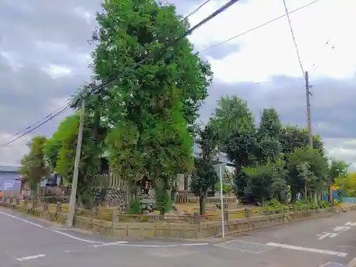 天神社（山口）の自然