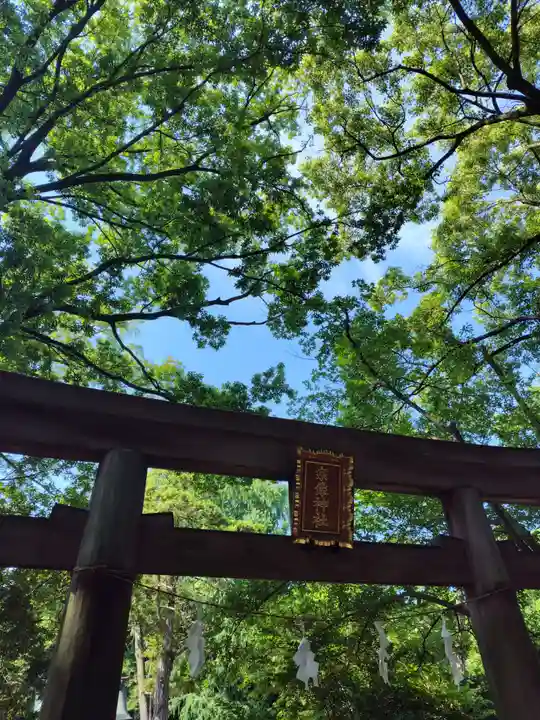 武蔵一宮氷川神社(埼玉県)