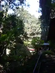 名草厳島神社の自然