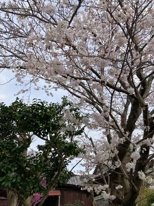 本覚寺(神奈川県)