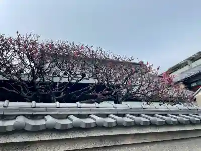 天竜院の{uncategorized: "未分類", other: "その他", undefined: "問題あり", building: "その他建物", grave: "お墓", sacred_gate: "鳥居", guardian: "狛犬", statue: "像", buddha: "仏像", history: "歴史", nature: "自然", garden: "庭園", animal: "動物", pagoda: "塔", temizu: "手水舎", mountain_gate: "山門・神門", sanctuary: "本殿・本堂", subordinate: "末社・摂社", art: "芸術", scenery: "景色", jizo: "地蔵", ema: "絵馬", goshuin: "御朱印", omikuji: "おみくじ", items: "授与品その他", amulet: "お守り", goshuincho: "御朱印帳", eats: "食事", festival: "お祭り", votive_dance: "神楽", shichigosan: "七五三参", wedding: "結婚式", experience: "体験その他", initially: "初詣", around: "周辺", anti_infection: "感染症対策"}