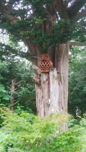 飯生神社の狛犬