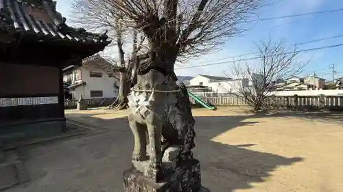 若宮八幡神社(徳島県)