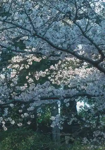 正安寺(神奈川県)