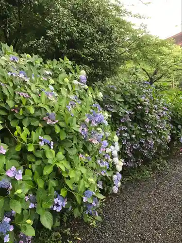 高幡不動尊　金剛寺(東京都)
