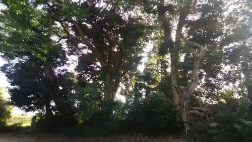 文殊院のその他建物