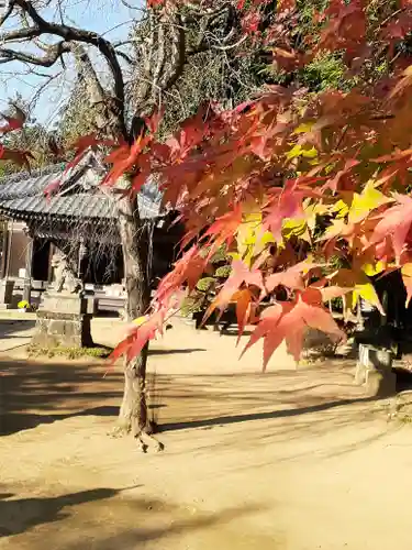 伏木香取神社の自然