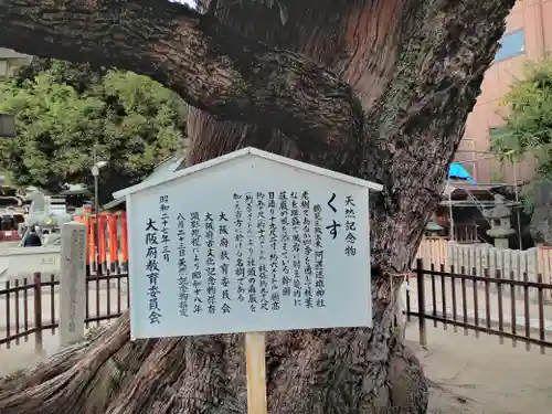 阿遅速雄神社の歴史