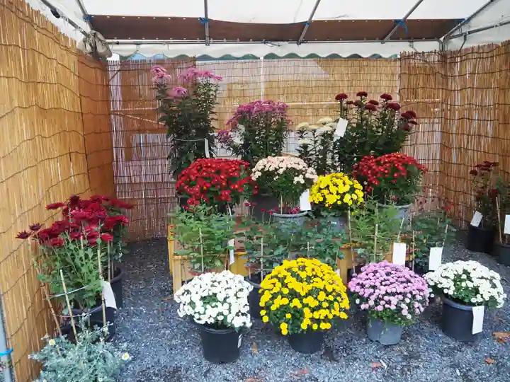 新町御嶽神社(東京都)