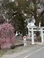 溝口竃門神社の{uncategorized: "未分類", other: "その他", undefined: "問題あり", building: "その他建物", grave: "お墓", sacred_gate: "鳥居", guardian: "狛犬", statue: "像", buddha: "仏像", history: "歴史", nature: "自然", garden: "庭園", animal: "動物", pagoda: "塔", temizu: "手水舎", mountain_gate: "山門・神門", sanctuary: "本殿・本堂", subordinate: "末社・摂社", art: "芸術", scenery: "景色", jizo: "地蔵", ema: "絵馬", goshuin: "御朱印", omikuji: "おみくじ", items: "授与品その他", amulet: "お守り", goshuincho: "御朱印帳", eats: "食事", festival: "お祭り", votive_dance: "神楽", shichigosan: "七五三参", wedding: "結婚式", experience: "体験その他", initially: "初詣", around: "周辺", anti_infection: "感染症対策"}