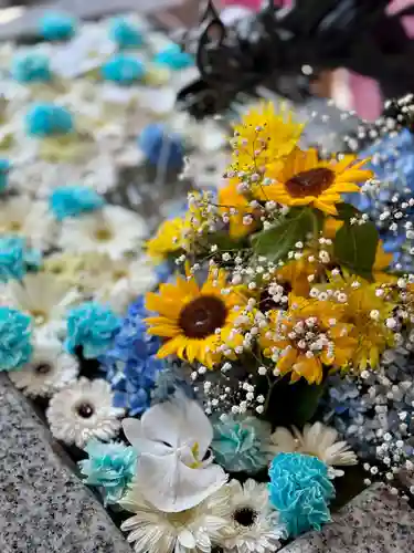 札幌諏訪神社の手水舎