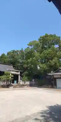 天祖神社(東京都)