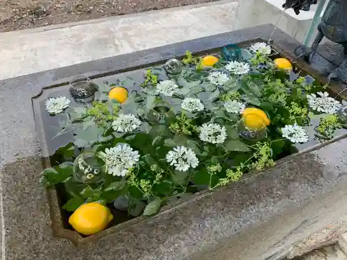 鹿追神社の手水