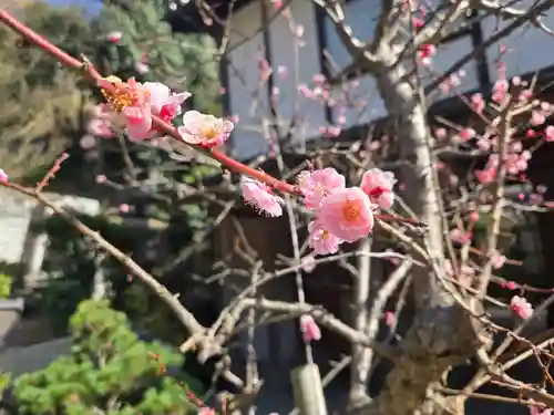 慈眼寺(大阪府)