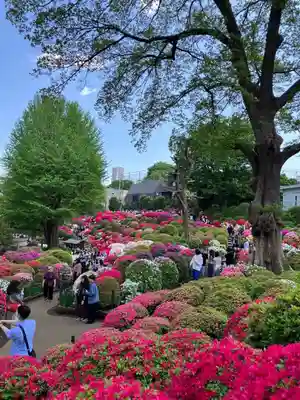 根津神社(東京都)