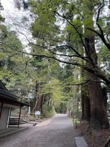 中尊寺の建物その他