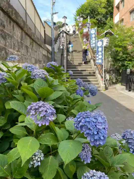 白山神社(東京都)