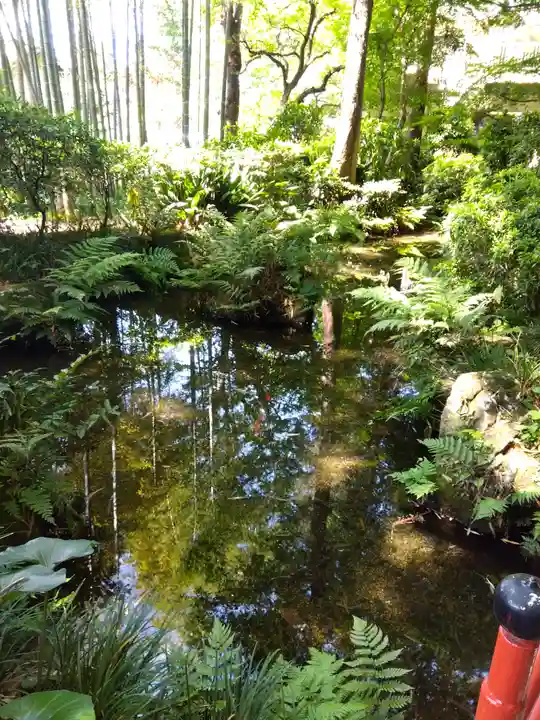 武蔵国分寺(東京都)