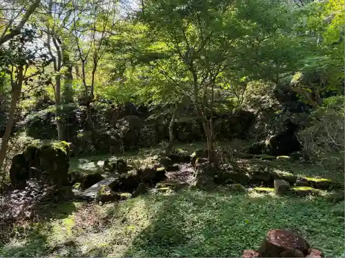 勝持寺（花の寺）(京都府)