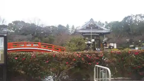 神泉苑の庭園