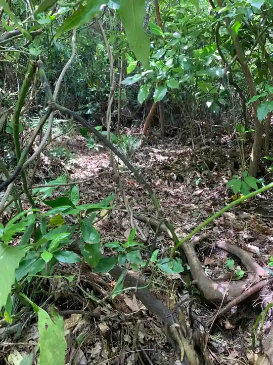 八坂神社の周辺