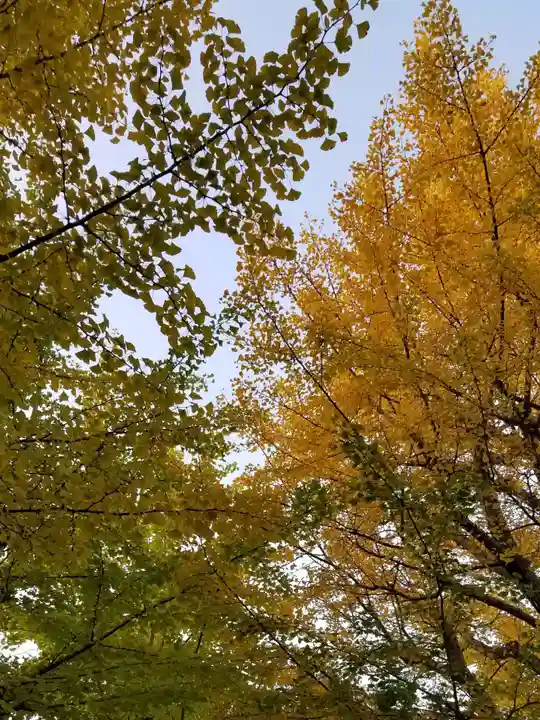 高木神社の自然