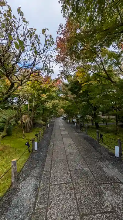 禅林寺(永観堂)(京都府)
