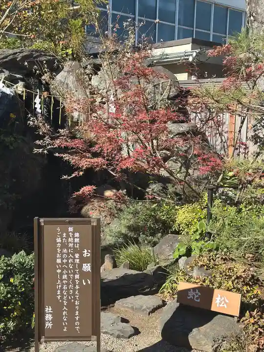 蛇窪神社(東京都)