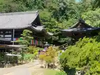 岡寺(龍蓋寺)(奈良県)