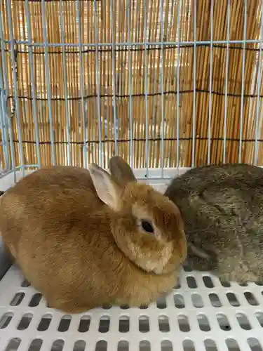 太子堂八幡神社(東京都)