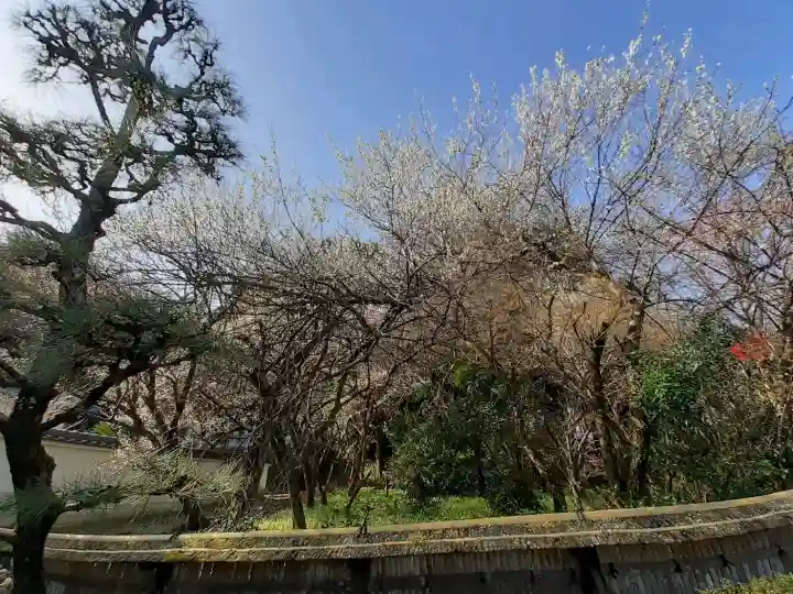 光雲寺の{uncategorized: "未分類", other: "その他", undefined: "問題あり", building: "その他建物", grave: "お墓", sacred_gate: "鳥居", guardian: "狛犬", statue: "像", buddha: "仏像", history: "歴史", nature: "自然", garden: "庭園", animal: "動物", pagoda: "塔", temizu: "手水舎", mountain_gate: "山門・神門", sanctuary: "本殿・本堂", subordinate: "末社・摂社", art: "芸術", scenery: "景色", jizo: "地蔵", ema: "絵馬", goshuin: "御朱印", omikuji: "おみくじ", items: "授与品その他", amulet: "お守り", goshuincho: "御朱印帳", eats: "食事", festival: "お祭り", votive_dance: "神楽", shichigosan: "七五三参", wedding: "結婚式", experience: "体験その他", initially: "初詣", around: "周辺", anti_infection: "感染症対策"}