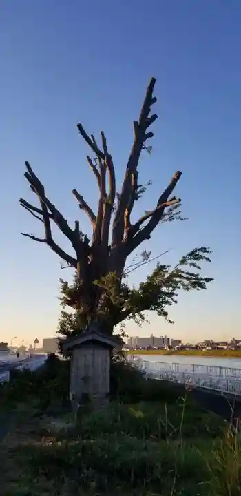 祠の本殿・本堂