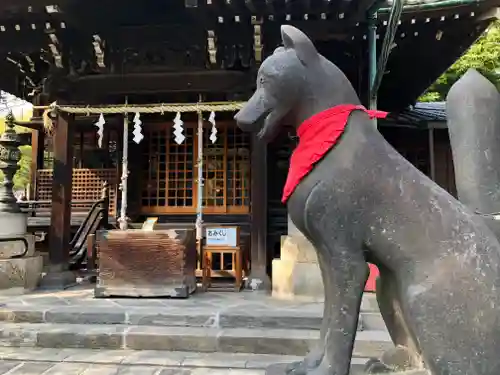 三囲神社の狛犬