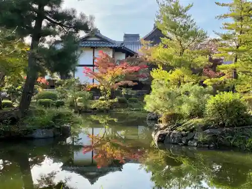 等持院の庭園