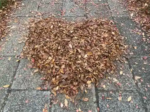 陽林寺(福島県)