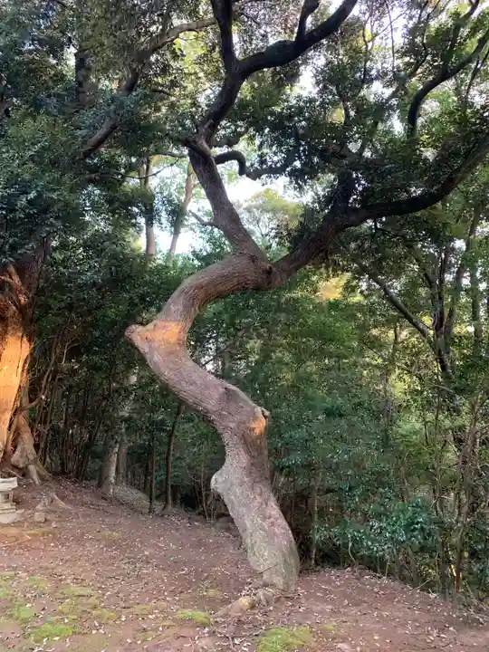 稲荷神社(千葉県)