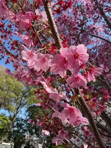 富部神社(愛知県)