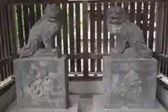 川口神社の狛犬