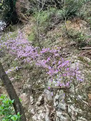 仙遊寺(愛媛県)