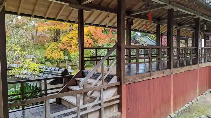 十輪寺(京都府)