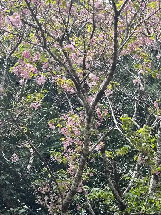 猿田神社(千葉県)