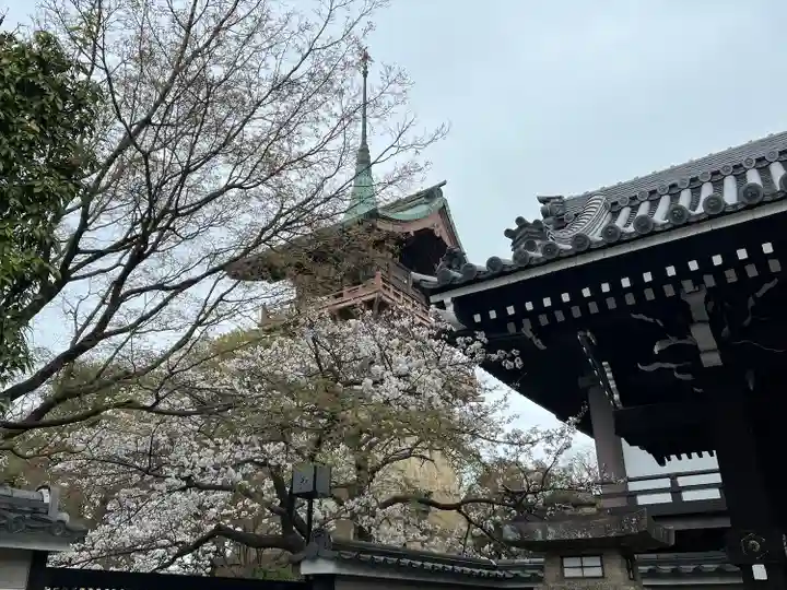 大雲院(京都府)