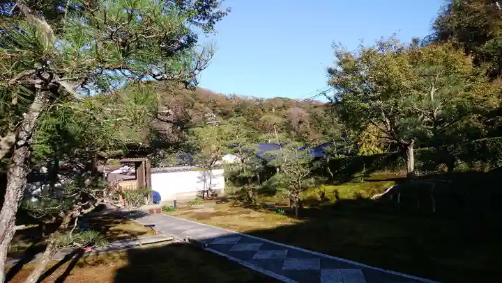 長壽寺(長寿寺)の庭園