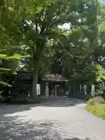 阿佐ヶ谷神明宮の{uncategorized: "未分類", other: "その他", undefined: "問題あり", building: "その他建物", grave: "お墓", sacred_gate: "鳥居", guardian: "狛犬", statue: "像", buddha: "仏像", history: "歴史", nature: "自然", garden: "庭園", animal: "動物", pagoda: "塔", temizu: "手水舎", mountain_gate: "山門・神門", sanctuary: "本殿・本堂", subordinate: "末社・摂社", art: "芸術", scenery: "景色", jizo: "地蔵", ema: "絵馬", goshuin: "御朱印", omikuji: "おみくじ", items: "授与品その他", amulet: "お守り", goshuincho: "御朱印帳", eats: "食事", festival: "お祭り", votive_dance: "神楽", shichigosan: "七五三参", wedding: "結婚式", experience: "体験その他", initially: "初詣", around: "周辺", anti_infection: "感染症対策"}