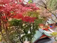 金櫻神社(山梨県)