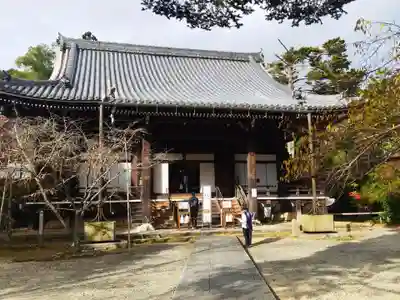 光明寺（粟生光明寺）(京都府)